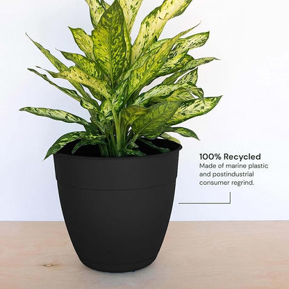 Bloem Dayton Planter with Saucer: 12" - Black - 100% Recycled Plastic Pot, Removable Saucer, Elevated Feet, for Indoor and Outdoor Use, Gardening, 3 Gallon Capacity
