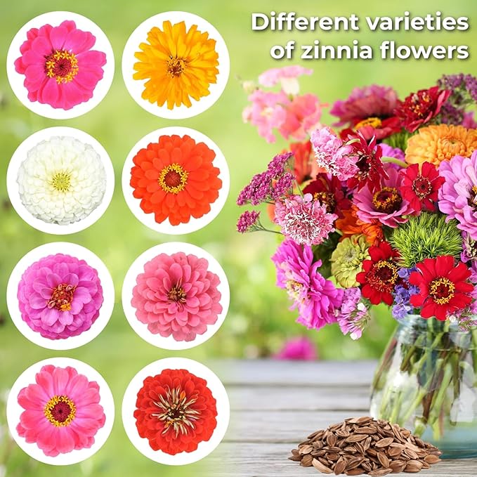 16000+ Zinnia Flower Seeds for 2026-7+ Color Mix, High Germination Rate, Perfect for Gardens, Mix Zinnia Wildflower Seeds, Mixed Colors and Large Blooms, Easy to Grow, Large 4 Ounce Packet