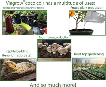 Viagrow® 650 g (1.4 lb.) Compressed Coconut Coir Premium Grow Media (6-Packs) / A Product of The Harvest Company™