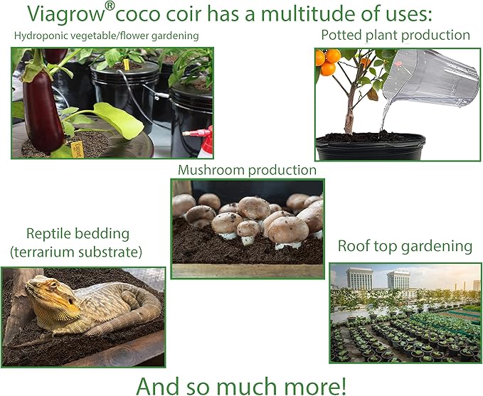 Viagrow® 650 g (1.4 lb.) Compressed Coconut Coir Premium Grow Media (3-Packs) / A Product of The Harvest Company™
