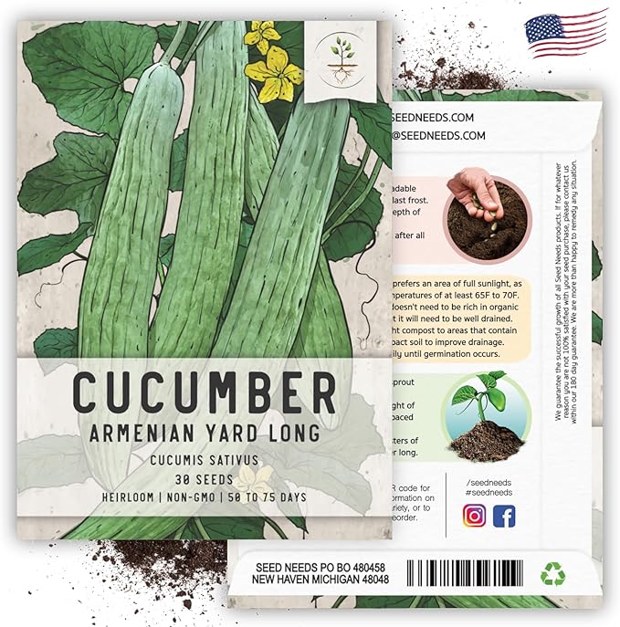 Seed Needs Cucumber Seeds for Planting Armenian Yard Long Cucumbers - Heirloom Non-GMO & Untreated - Snake Melon/Serpent Cucumber to Plant a Home Grown Outdoor Vegetable Garden (2 Packs)