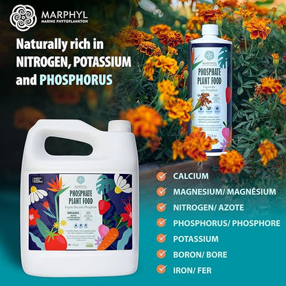 MARPHYL Organic Liquid Phosphate Soil Enhancer – Phosphorus Fertilizer for Root Development & Bloom Support, Ideal for Garden Flowers, Vegetables, Succulents & Hydroponics