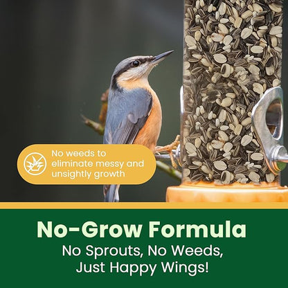 Happy Wings No Grow Bird Seed Mix Pack of 2 (5lb x 2 = 10lb) - Songbird Bird Seed with Sunflower, Safflower & Peanuts - No Mess Birdseed for Outside Feeders - Suitable Birdseed for Wild Birds