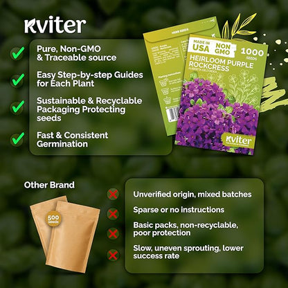 KVITER 1,000 Purple Rock Cress Seeds Perennial (Aubrieta deltoidea) - Aubrieta Seed, Lilacbush, Non-GMO & Organic Ground Cover Seed - Ideal Flower Seeds for Planting in Beds, Rock Garden & Walls