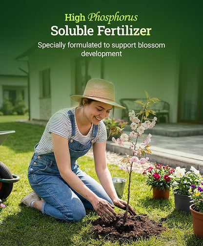 FoxFarm Beastie Bloomz Water Soluble Fertilizer for Mid-Flowering Stage, High Phosphorus Fertilizer 0-50-30, Supports Blossom Development, Easily Dilutes in Water, Ideal for Hydroponics & Soil, 6 oz