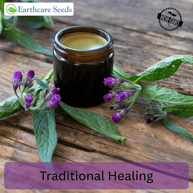 True Comfrey 50 Seeds (Symphytum officinale) Non GMO, Heirloom