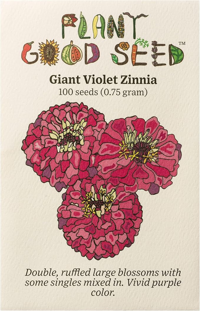 Plant Good Seed Organic Benary's Giant Purple Zinnia Seeds for Planting: Heat Tolerant Summer Flower, Large Purple Blossoms - 100 Seed Packet
