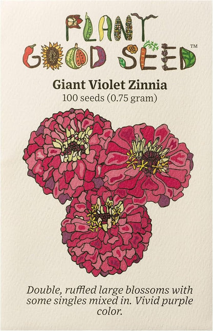 Plant Good Seed Organic Benary's Giant Purple Zinnia Seeds for Planting: Heat Tolerant Summer Flower, Large Purple Blossoms - 100 Seed Packet