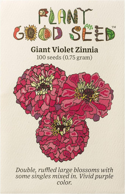 Plant Good Seed Organic Benary's Giant Purple Zinnia Seeds for Planting: Heat Tolerant Summer Flower, Large Purple Blossoms - 100 Seed Packet