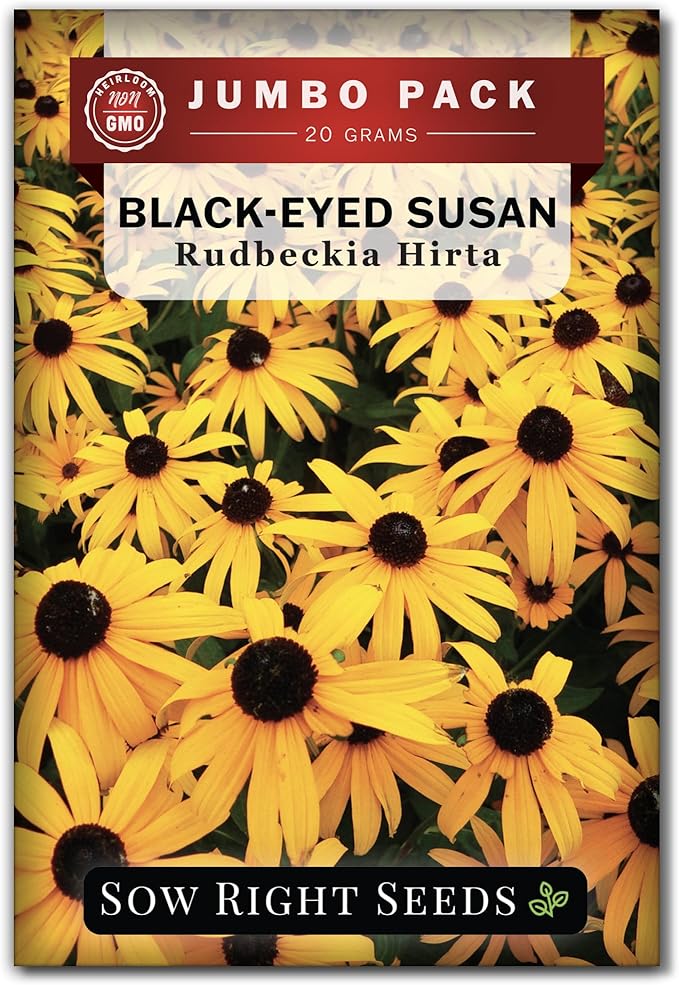 Sow Right Seeds - Black Eyed Susan Flower Seeds for Planting - 75000 Seeds, 20 Grams - Non-GMO Heirloom Bulk Jumbo Pack to Plant a Home Garden - Perennial Wildflowers Attract Pollinators