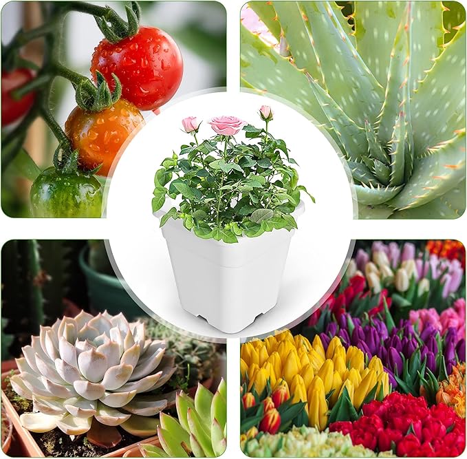 HOSTIC 1 Gallon Square Nursery Pots Flexible Plastic Pots for Plants Gallon Pot with Drainage Holes 10 Pcs