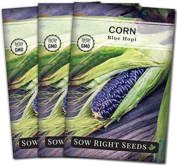Sow Right Seeds - Blue Hopi Corn Seed for Planting - Non-GMO Heirloom Packet with Instructions to Plant and Grow an Outdoor Home Vegetable Garden - Great for Blue Corn Flour Cooking (3)