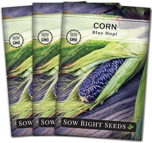Sow Right Seeds - Blue Hopi Corn Seed for Planting - Non-GMO Heirloom Packet with Instructions to Plant and Grow an Outdoor Home Vegetable Garden - Great for Blue Corn Flour Cooking (3)