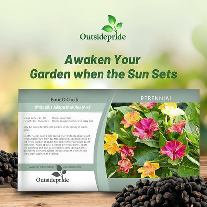 Outsidepride Marbles Mixed Four O'clock Flower Seeds - 100 Pcs Perennial Fragrant, Trumpet-Shaped Blooms, Deer-Proof & Easy to Grow, for Pollinator & Evening Gardens, Containers, Hedges, or Borders