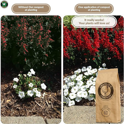 Charlie's Compost - Odor Free Organic Fertilizer for Home Gardens, Raised Beds, Containers, Seed Starting Mix, Natural Soil Amendment with Biochar 10lb