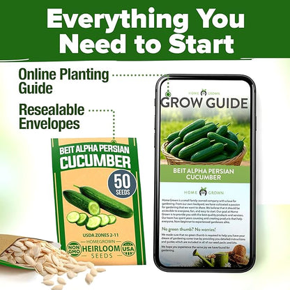 HOME GROWN Non GMO Persian Cucumber Seeds 50+ Heirloom Non-GMO, High-Yielding Beit Alpha Variety | Fast Growing, Sweet Tender Skin, Home Vegetable Garden Seeds (Cucumis sativus)