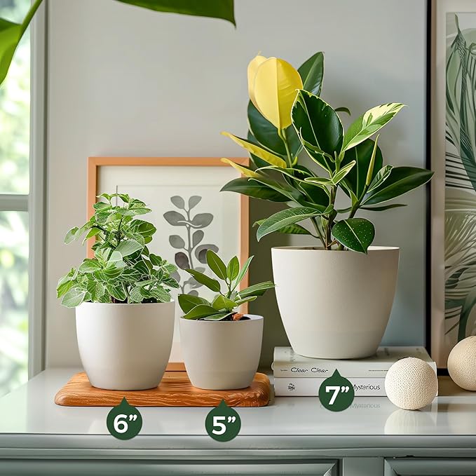 T4U 7 Inch Self Watering Planters Plastic Plant Pot, Modern Decorative Flower Pot/Window Box for All House Plants, Flowers, Herbs, African Violets, Succulents - White, Set of 6