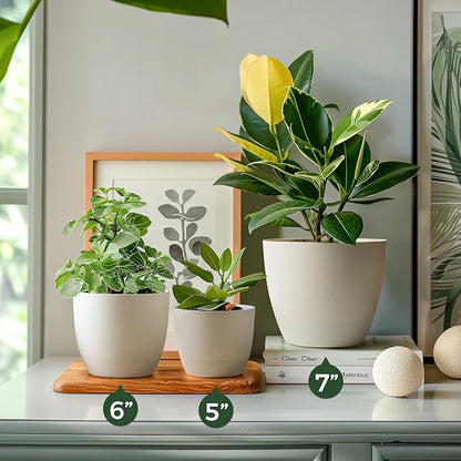 T4U 6 Inch Self Watering Planters Plastic Plant Pot, Modern Decorative Flower Pot/Window Box for All House Plants, Flowers, Herbs, African Violets, Succulents - White, Set of 6