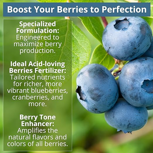 8-4-8 Acidic Fertilizer for Azaleas, Camellias (Camelia), Hydrangeas, Blueberries, Gardenias, Magnolia Trees, Evergreens, and Rhododendrons - Ideal Iron-Rich Plant Food (1 Quart)
