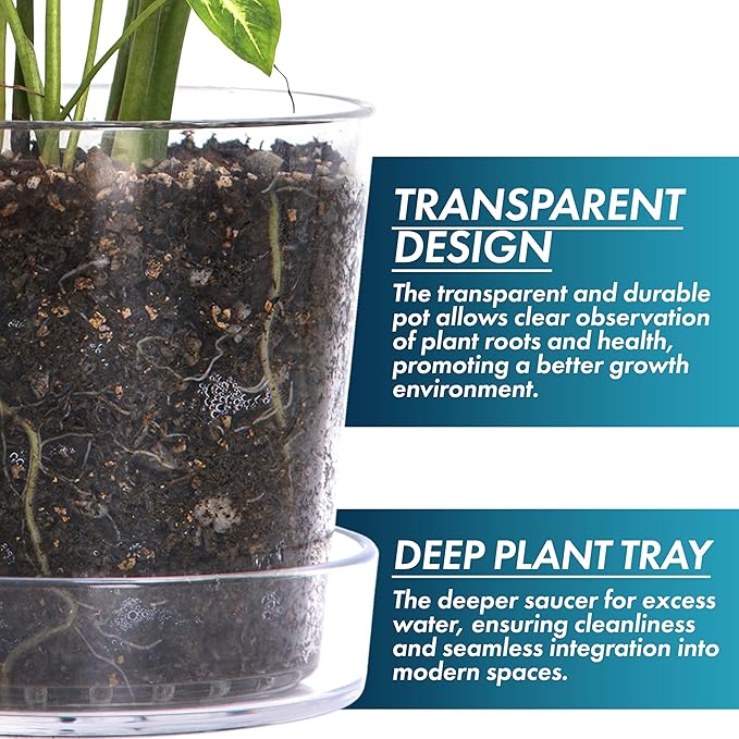 Phoenix Vine 8 Inch Clear Acrylic Planter Pot with Tray, Orchid Pot with Drainage Holes, Deep Saucer for Bottom Watering, Transparent Containers for Indoor Plants, Herbs, Set of 2, 91-A-G-2