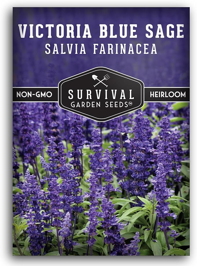 Survival Garden Seeds - Victoria Blue Sage Seed for Planting - 1 Packet with Instructions to Plant and Grow Mealycup Sage or Salvia Farinacea in Your Home Vegetable Garden - Non-GMO Heirloom Variety