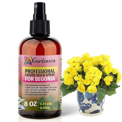 𝐁𝐄𝐒𝐓𝐒𝐄𝐋𝐋𝐄𝐑 Liquid Silica Boost Fertilizer and Supplement Spray for Begonia Plants - Premium Ready-to-Use Liquid Silicon Plant Superfood Mist for Indoor & Outdoor Begonias - 8oz