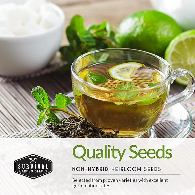 Medicinal Tea Herb Seeds for Planting | 9 Variety Pack of Heirloom, Non-GMO Herbs – Grow Herbal Teas, Natural Remedies – Home Apothecary Garden Kit – Survival Garden Seeds