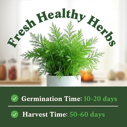 Seedboy Organic Dill Seeds for Planting Indoor and Outdoor, Non-GMO and USDA Certified Herb Seed Packet for Hydroponic Garden Indoor or Planting Outdoors (Bouquet Dill)