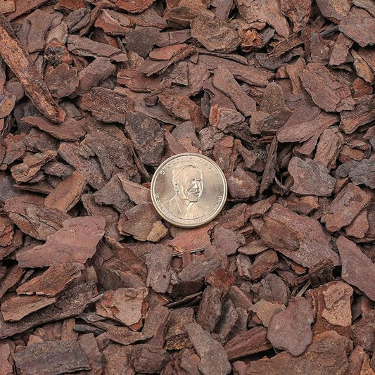 Orchid Bark 2qt, Natural Pine Bark Mulch for Plants, Great for Orchids, Succulents, Cactus, Bonsai, Ideal for Houseplant Mulch