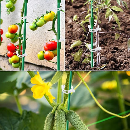 143 Pcs Garden Stakes Set,32 Sets of Fiberglass Plant Stakes Sticks,DIY 3ft 4ft 5ft 6ft 7ft Sturdy Plant Stakes for Tomato Vegetables, Sticks Support for Indoor Outdoor Plants Gardening Supplies