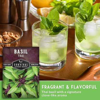 Thai Basil Seeds for Planting – Sweet Thai Basil with Anise Flavor for Asian Cooking – Heirloom Non-GMO Herb Seed for Indoor or Outdoor Gardens – Survival Garden Seeds (1 Pack)