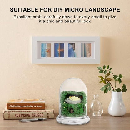 Cabilock Glass Terrarium Bottle 6.10X4.72X4.72In with Clear Dome for Micro Landscape Display and Plant Humidity Control Indoor Garden Decor