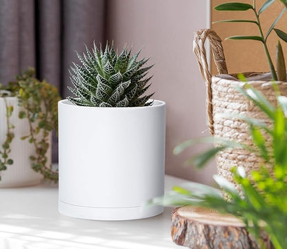 D'vine Dev 6 Pack 4 Inch Modern Plastic Plant Pots, Small Garden Planters for Plant with Drainage Holes and Saucers, White Color, 74-Z-E-3