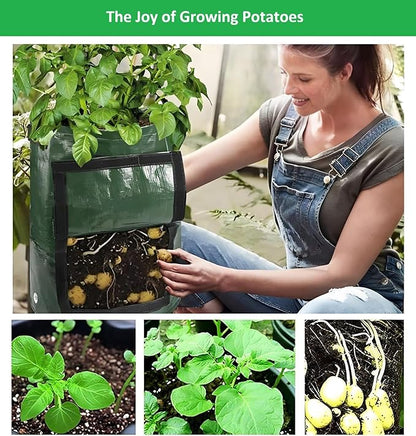 Potato Grow Bags,(5 Pack 10 Gallon) Garden Vegetables Growing Planter with Handles and Access Flap for Planting Potato Carrot Onion Taro Radish Peanut, (Dark Green)