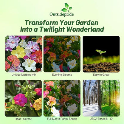Outsidepride Marbles Mixed Four O'clock Flower Seeds - 100 Pcs Perennial Fragrant, Trumpet-Shaped Blooms, Deer-Proof & Easy to Grow, for Pollinator & Evening Gardens, Containers, Hedges, or Borders