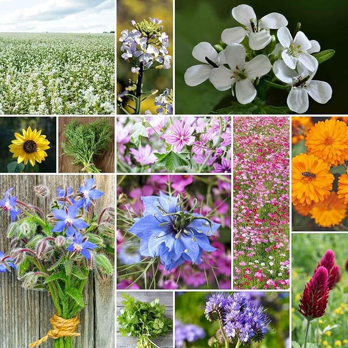 Eden Brothers Bee Happy Organic Wildflower Mixed Seeds for Planting, 5 lb, 2,400,000+ Seeds with Cosmos, Crimson Clover | Attracts Pollinators, Plant in Spring or Fall, Zones 3, 4, 5, 6, 7, 8, 9, 10