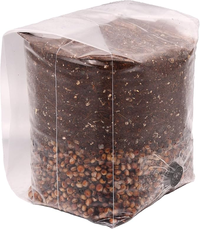 Mini Red Milo All-in-One Mushroom Grow Bag