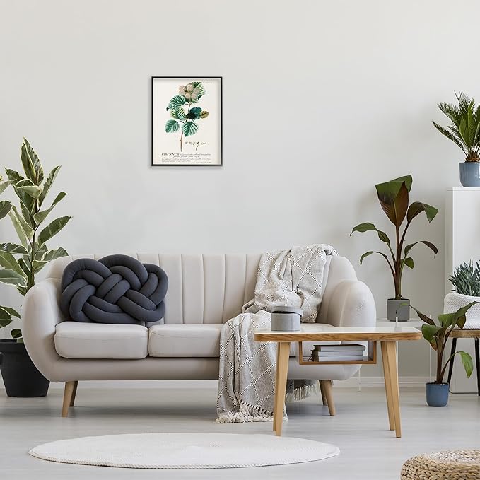 Stupell Industries Botanical Plant Illustration Seeds Vintage Design Black Framed Wall Art, Multi-Color, 16 x 20