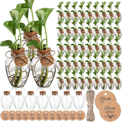 Baderke 48 Pack Big 10oz Plastic Plant Propagation Stations with Hole Lid Planter Vase Clear Propagation Jars with Thank You Tags for Plant Lover Gifts for Women Office Home Garden