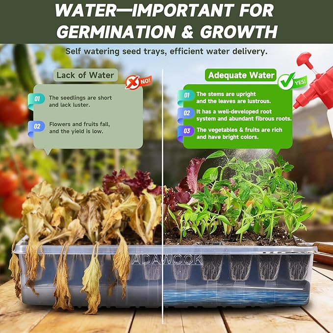 Self-Watering Seed Starter Tray, Seed Starter Kit Self Water, Germination Trays for Seed Starting with High Humidity Domes (Tray, 240 Cells)