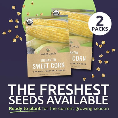 Sweet Yards Seed Co. Organic Enchanted Sweet Corn – Two Seed Packets! – Approx. 30 Open Pollinated Non-GMO Seeds 60 Total
