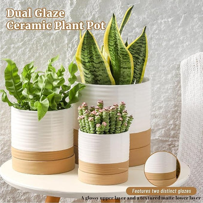 HASENSE Plant Pots, 8+6+4.6 Inch Ceramic Pots for Plants with Drainage Hole and Saucer, White Flower Planters Set of 3, Ideal for Gardening Home Desktop Office Decor