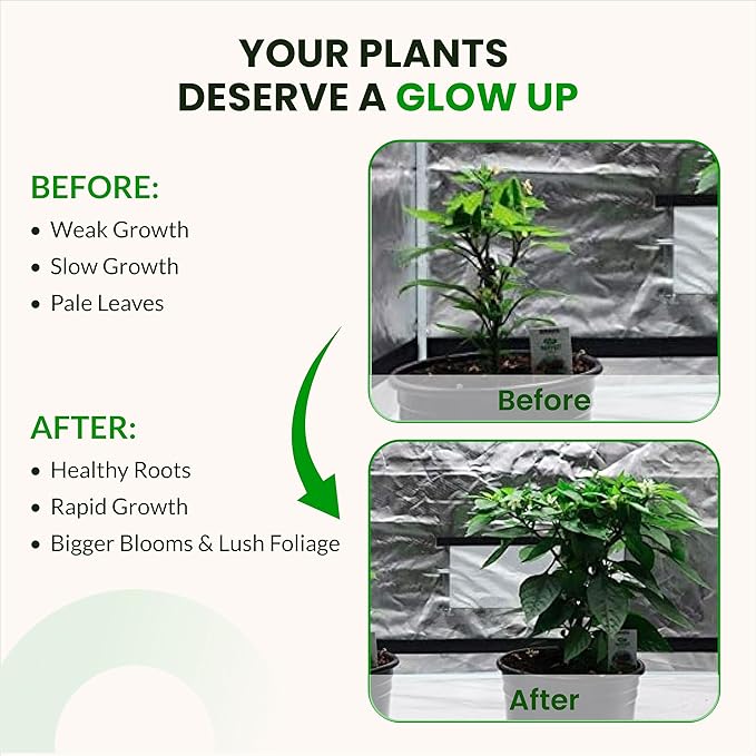 Humboldts Secret Starter Kit Pack | Indoor and Outdoor Plant Fertilizer and Hydroponic Nutrients | Base A & B, CalMag and Iron, Golden Tree, Flower Stacker, Plant Enzymes | Complete Garden System