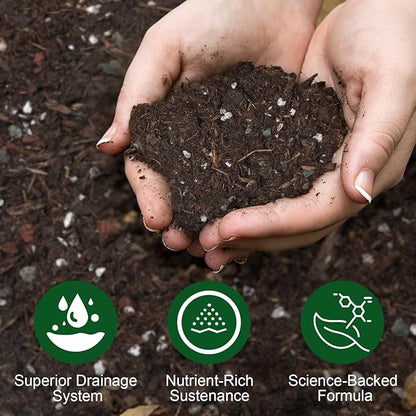Organic Desert Rose Potting Soil Mix for Healthy Growth 4qt - 100% Natural Potting Mix - Specially Formulated Nutrient-Rich Plant Soil for Desert Rose Plant