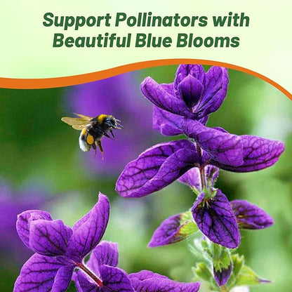 Outsidepride Blue Monday Salvia Seeds - 2,000 Pcs Annual, Compact, Heavy Blooming & Drought-Tolerant Sage Seeds for Planting Fragrant Blue Blooms for Butterfly & Hummingbird Gardens & Landscaping
