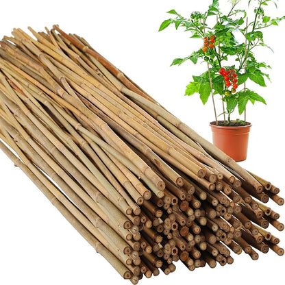 Suzile 100 Pcs Bamboo Stakes Bulk, Natural Plant Stakes Bamboo Garden Supports Climbing for Tomatoes, Beans, Vegetable and Potted Plants (48 Inch)