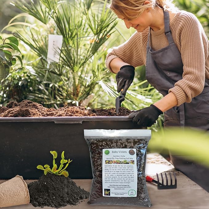 Venus Fly Trap, Pitcher, Butterworts, Bladderworts Drosera Carnivorous Plant Potting Soil Mix Peat Moss & Perlite (½ Gallon / 2 quarts).