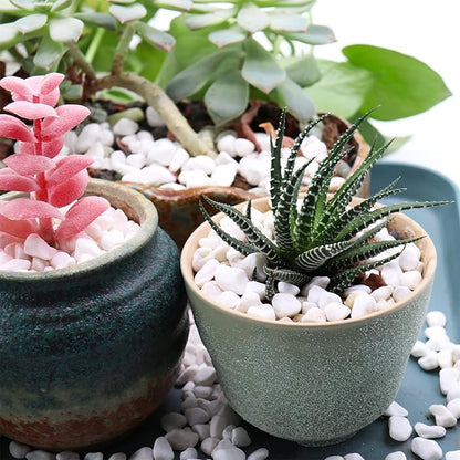 White Rocks. Decorative Pebbles. 1/5 Inch 2 lbs for Garden, Landscaping, Indoor, Vase Fillers, Crafting, Succulents, Pots, Plants (Mini, Tumbled, 2)
