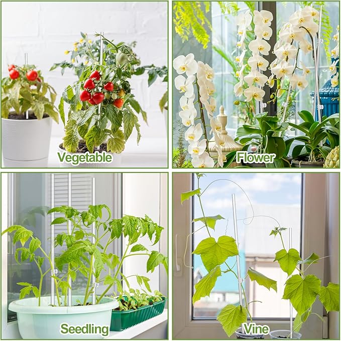 Mwellewm 30 Pcs Plant Stakes Orchid Stakes 16Inch & 11Inch Clear Acrylic Plant Sticks Plastic Plant Support Stakes for Indoor Outdoor Garden with 30 Plant Clips for Potted Plants Vegetables Flowers