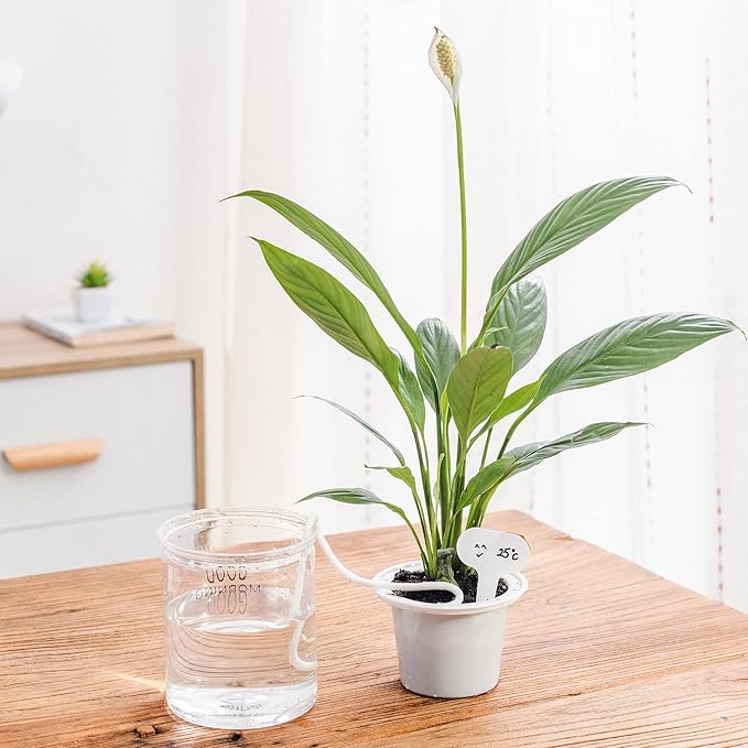 ORIMERC 30 feet Self Watering Wick Cord Automatic Watering Device for Vacation Self-Watering Planter Pot Potted Plant Sitter Auto Drip Waterer with 30 pcs 5 x 7cm Plant Labels Garden Tag Marker